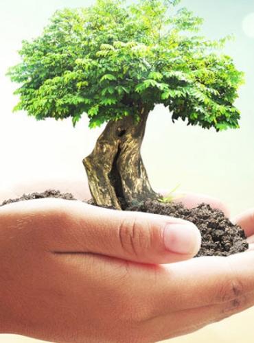 Betterment Of Environment