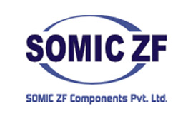 SOMIC ZF