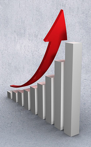 Pillars Of Our Growth 1